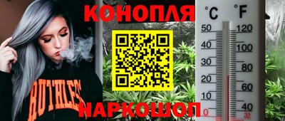 apvp Кунгур