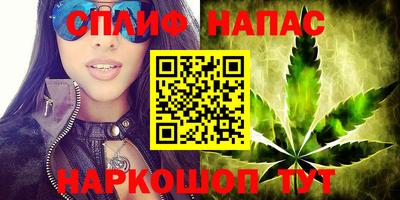 apvp Кунгур