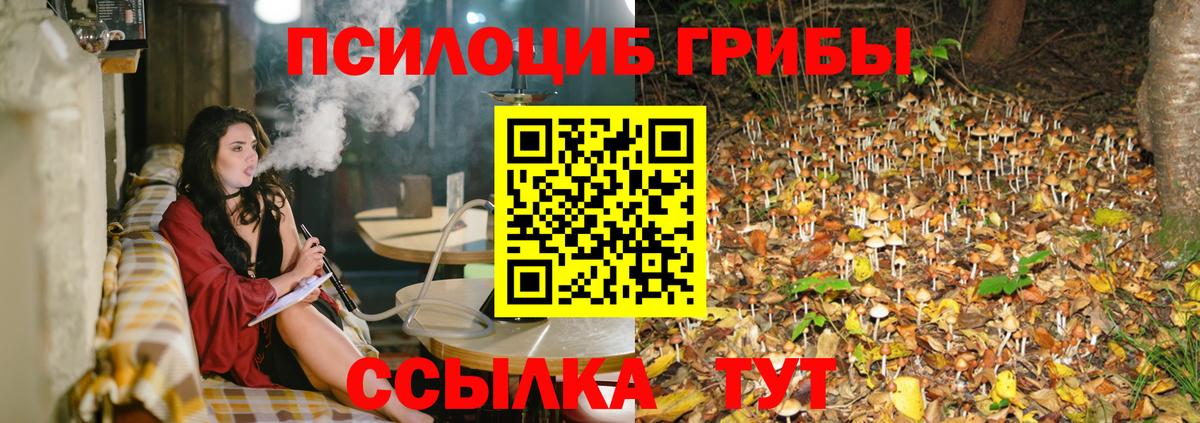 Ижевск  Галлюциногенные грибы мухоморы  Вход с VPN 
